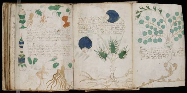 Voynich Manuscript 164