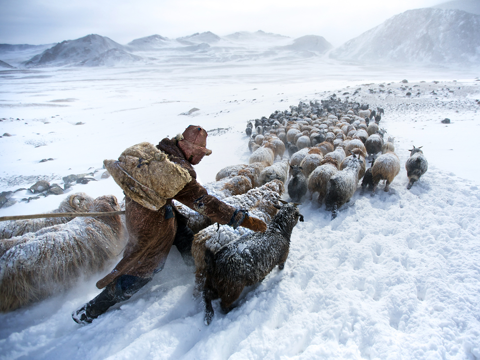 5herder-altay-mountains-mongolia 76618 990x742